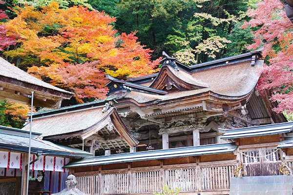 大矢田神社 | 歴史・文化