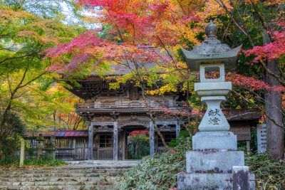 大矢田神社 | 歴史・文化