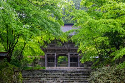 大矢田神社 | 歴史・文化