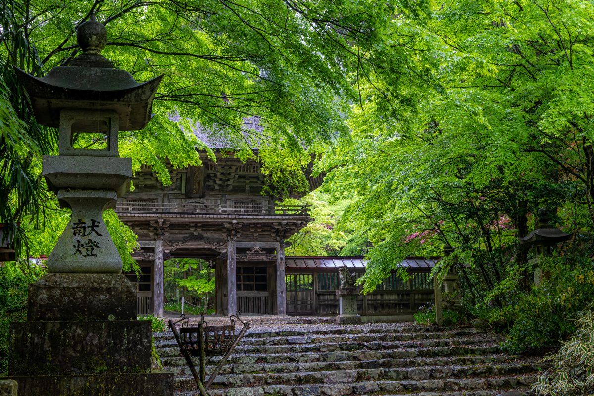 大矢田神社 | 歴史・文化