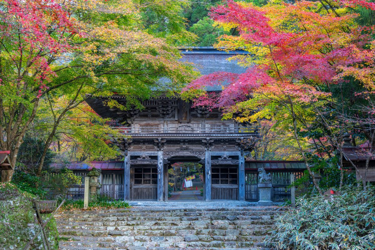 大矢田神社 | 歴史・文化