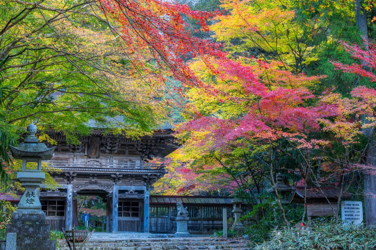 大矢田神社 | 歴史・文化