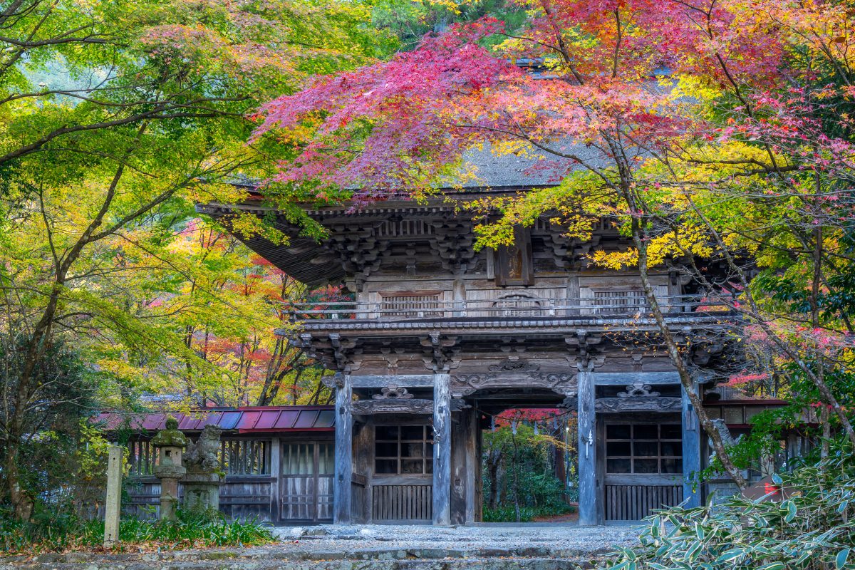 大矢田神社 | 歴史・文化