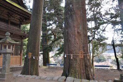 洲原神社 | 歴史・文化