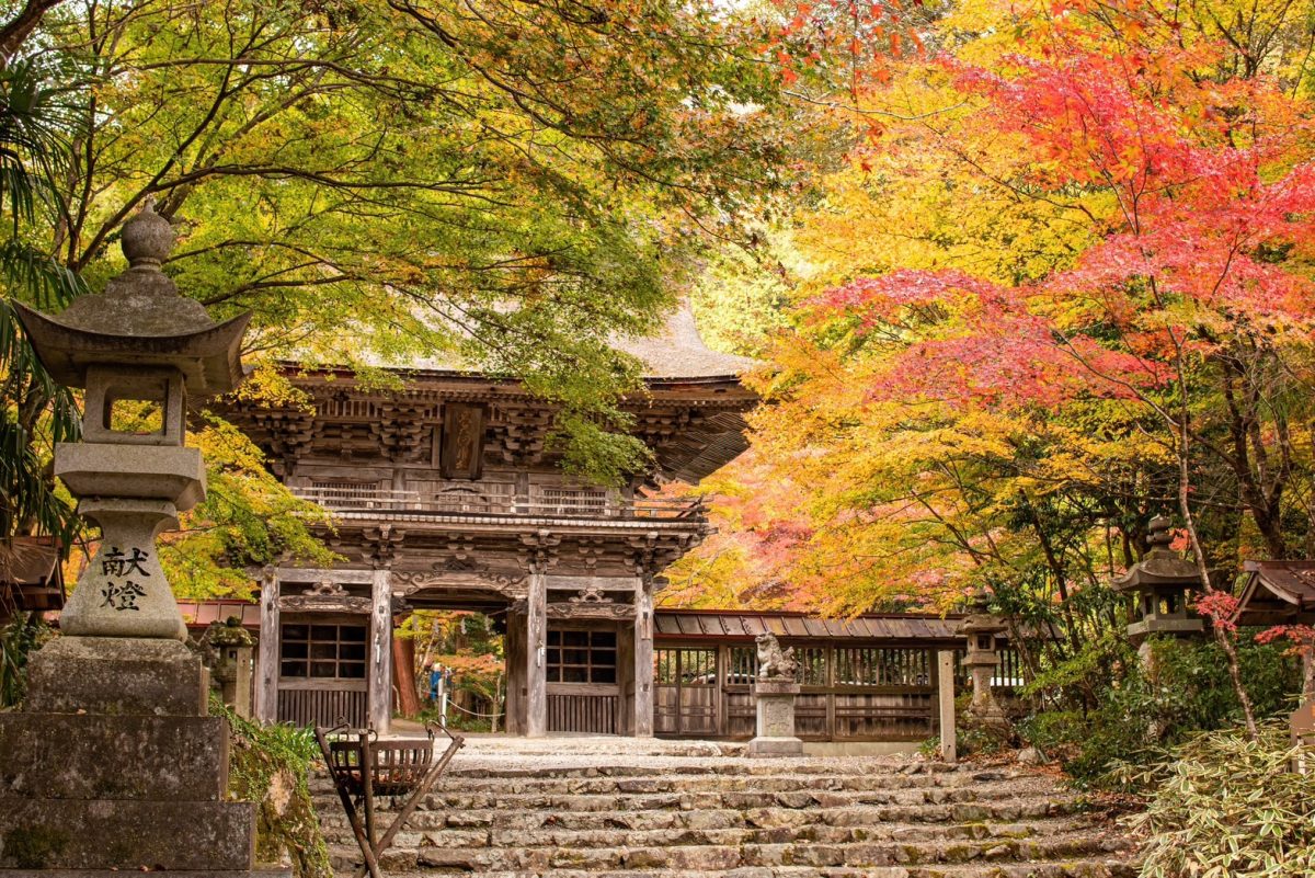 大矢田神社もみじ谷 | 秋のイベント