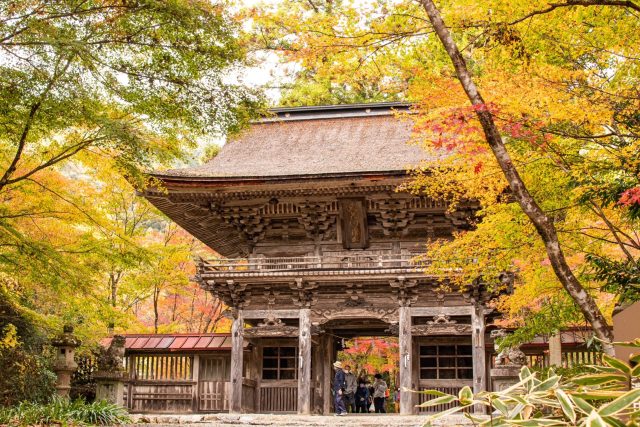 大矢田神社もみじ谷　小学生手作りリーフレットを配布します！