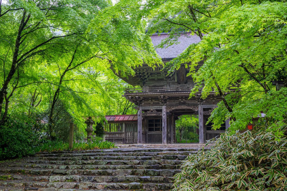 大矢田神社 | 歴史・文化