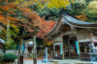 大矢田神社 | 歴史・文化