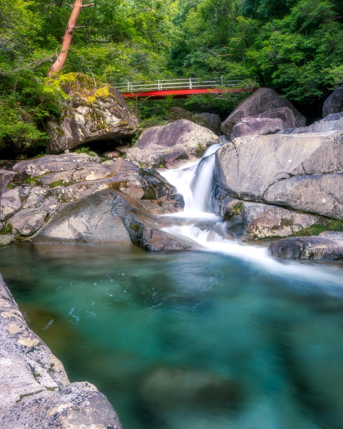 片知渓谷 | 自然・景観