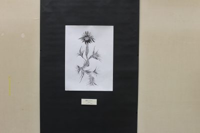 美濃和紙の里会館　企画展 | その他