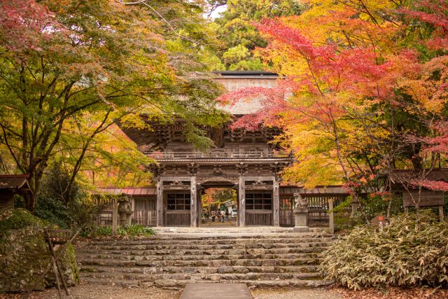 大矢田神社もみじ谷　ボランティアガイドが行われます！