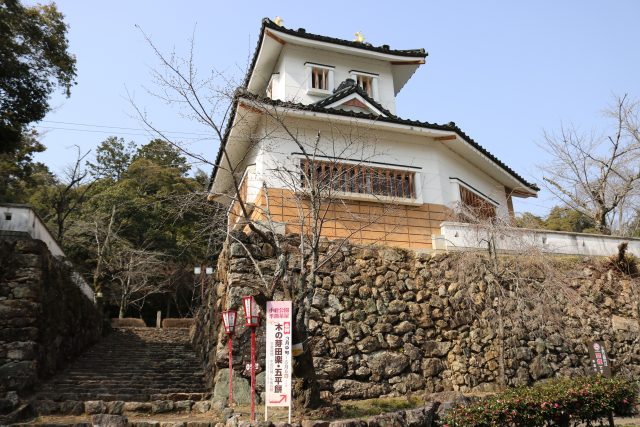 小倉公園　現在の桜開花状況(2025)