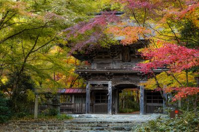 大矢田神社もみじ谷　紅葉3 | 秋