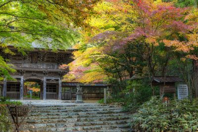 大矢田神社もみじ谷　紅葉2 | 秋