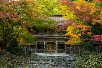 大矢田神社もみじ谷　紅葉1 | 秋