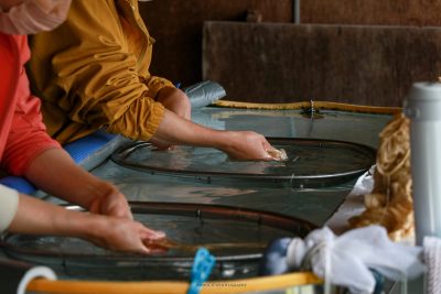 紙漉き　塵取り | 特産品