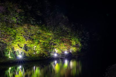 助右ヱ門サのもみじライトアップ2 | 秋