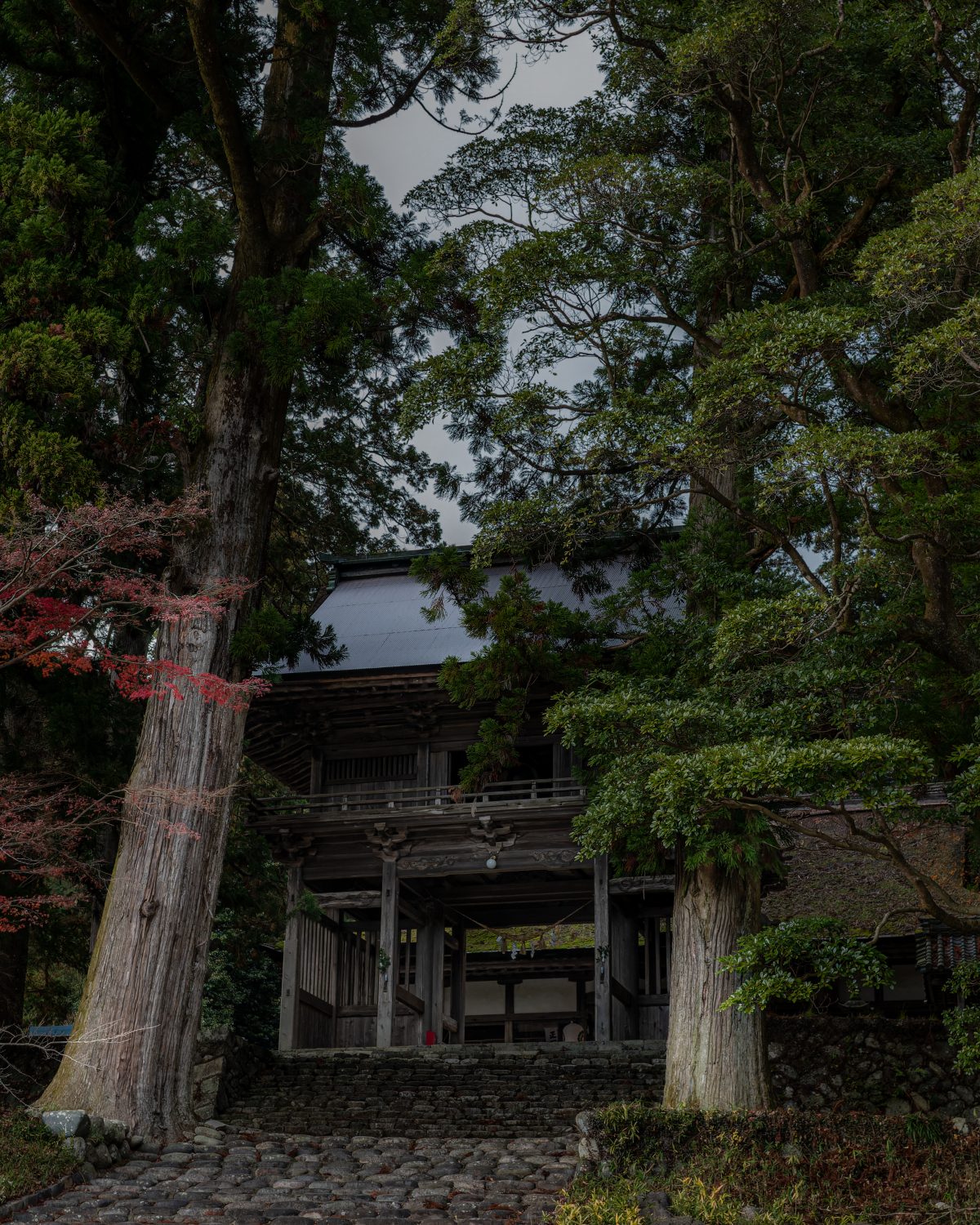 洲原神社　垢離取祭 | 冬のイベント