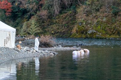 洲原神社　垢離取祭 | 冬のイベント
