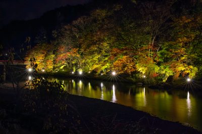 助右ヱ門サのもみじライトアップ2 | イベント