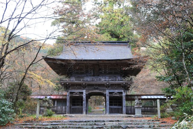 大矢田神社もみじ谷　現在の紅葉状況（2025）