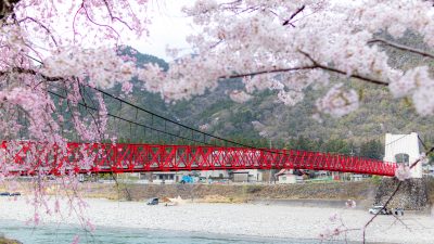 美濃橋　桜　横（16：9） | 観光スポット