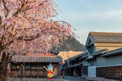 美濃市桜　横（3：2） | うだつの上がる町並み