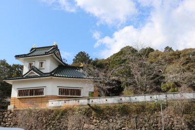 小倉公園　現在の桜開花状況(2026) | 新着情報