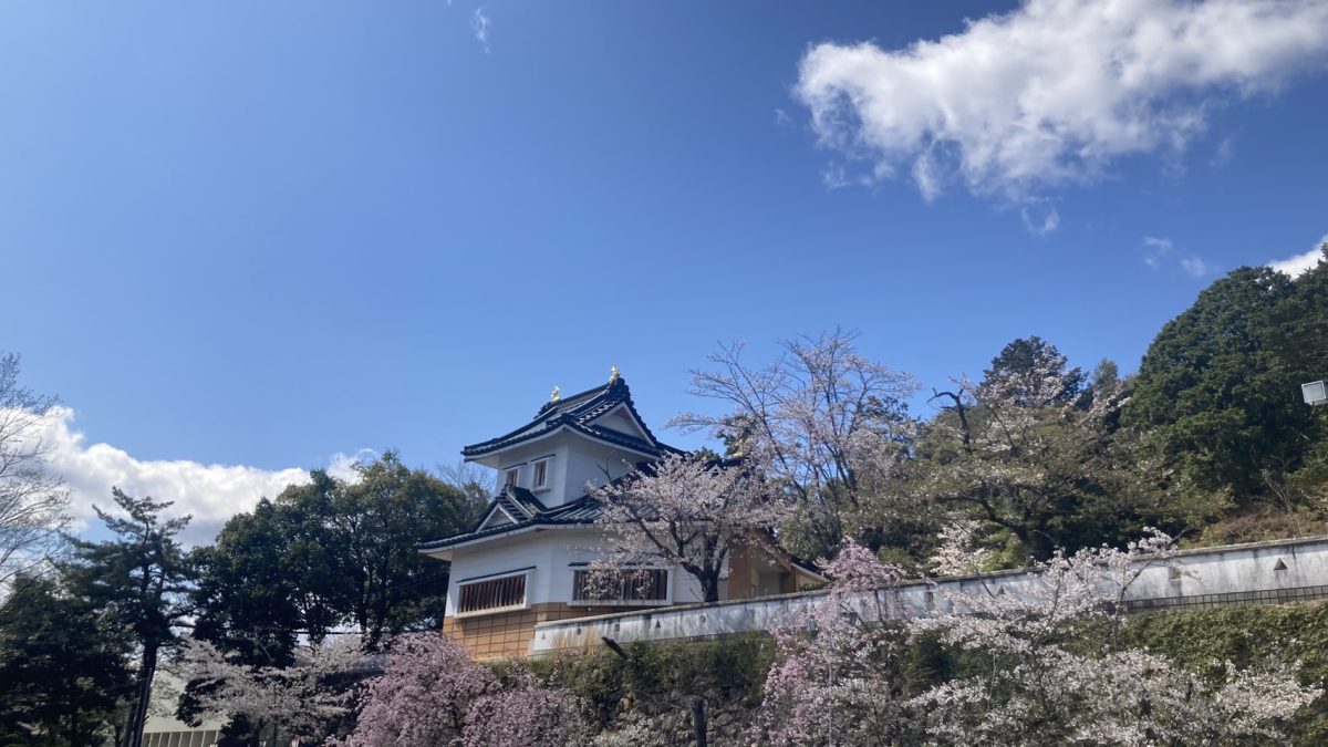 小倉公園　現在の桜開花状況(2026) | 新着情報