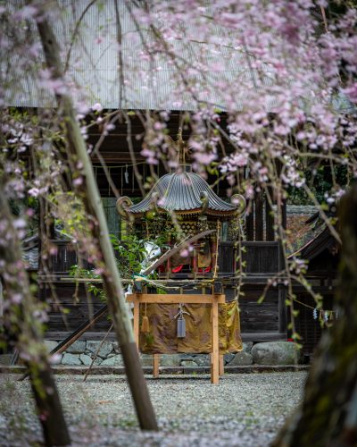 洲原神社　例大祭　縦（4：5） | 観光スポット