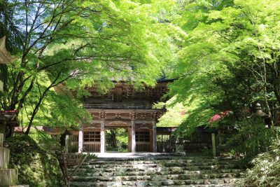 GW期間中　大矢田神社の御朱印が受けられます！ | 新着情報