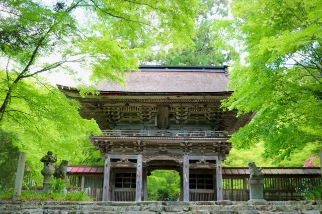 🌿GW限定🌿
大矢田神社の御朱印が受けられます！

社務所解放
期間：2025年4月29日(火)～5月6日（火）　

時間：午前9時～午後4時まで

社務所では青もみじ入りの御朱印を
受けることができます⛩
この期間を過ぎると次回社務所の解放は、
もみじ🍁の時期となります。

本殿にある社務所までは234段の階段をのぼるか、
少し急な坂をのぼるか、どちらかとなります。
階段には、手すりもあります。
どちらも新緑の楓を楽しみながら、
のぼることができます😊

楼門付近では新緑の楓のトンネルがとてもきれいです✨
また、シャガの花が見頃を迎えています🌱

GWのおでかけに、ぜひ遊びにお越しください🚙✨

📍大矢田神社（おやだじんじゃ）
美濃市大矢田2596

東海北陸自動車道美濃ＩＣから、県道94号経由で約10分

🚙駐車場：無料

#mino
#美濃市
#美濃和紙
#御朱印
#新緑のもみじ
#大矢田神社
#岐阜
#gifu
#おでかけ
#おでかけ情報